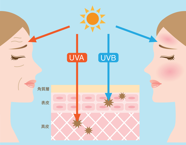 紫外線A波よB波がそれぞれ肌に与えるダメージのイラスト