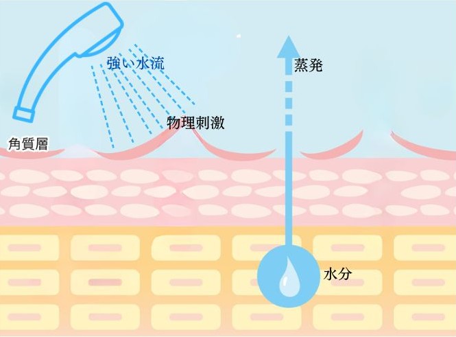 強いシャワーの水圧が角質層に物理刺激を与え、水分が蒸発するイメージ図