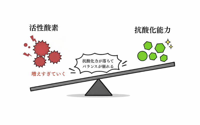活性酸素と抗酸化力のバランスを示したイメージ図