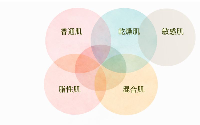 乾燥肌・脂性肌・敏感肌・混合肌が重なり合うイメージ図