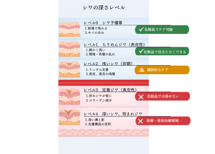 シワの段階を表した図。