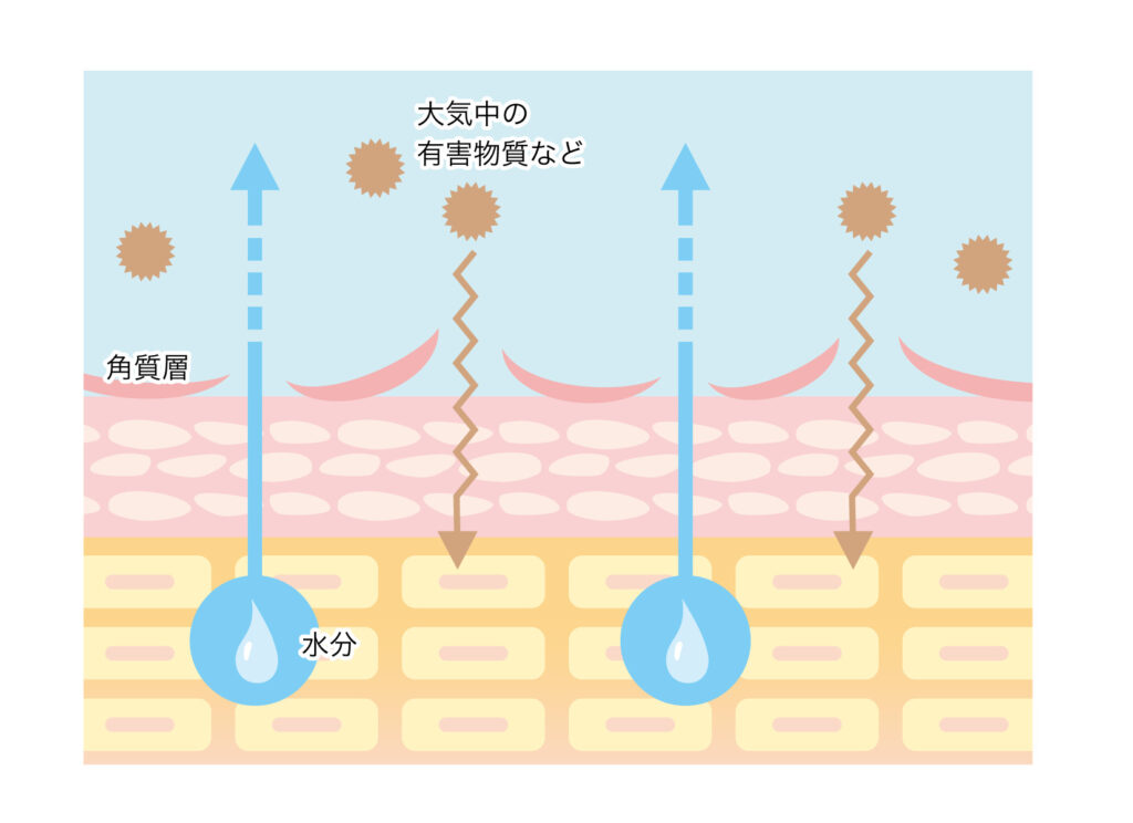 角質層から水分が蒸散する様子と外部刺激によるバリア機能低下を示した図(TEWLの説明)